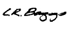 Klema_LRbaggs_logo